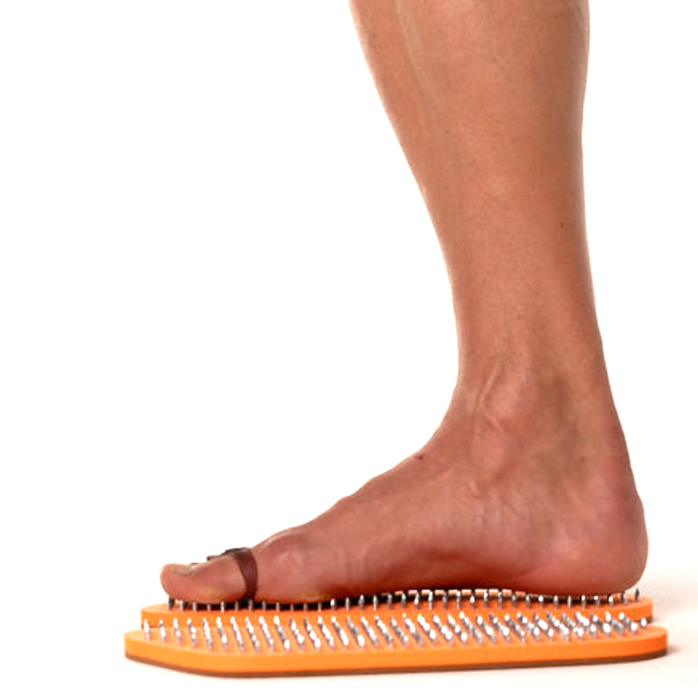 STARTER PACK DIVERGENT